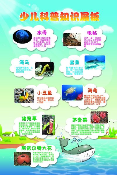 科普知识丨开学在即 这些健康知识需掌握
