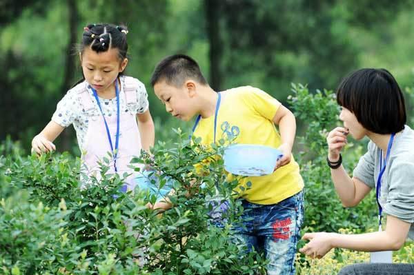 静宁：苹果成熟采摘忙 硕果累累促增收